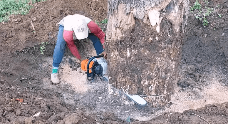 Does Chainsaw Weight Affect The Cutting Performance